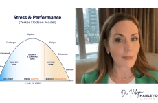 Image of speaker Robyne Hanley-Dafoe doing presentation