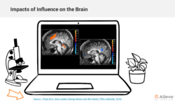 Alievo impact brain Photo of 2 brains. One in orange with 2 highlighted activity areas and one with 1 blue activated area.
